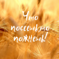 Что посеешь,то пожнешь!